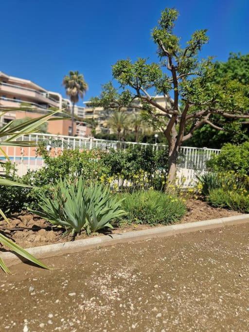 Appartement Vue Mer Sur Les Hauteurs De Nice Buitenkant foto