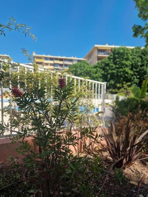 Appartement Vue Mer Sur Les Hauteurs De Nice Buitenkant foto